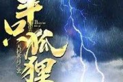 半只狐狸说算命，一场关于信任与命运的寓言