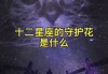 十二星座的花，花开得美不起来！