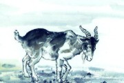 9月15日生肖羊运势解析，事业与感情的双重突破