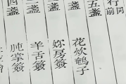 宋，一个充满寓意和美好寓意的名字