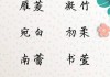 盈室，字里行间——墨字女宝宝名字的取名艺术与灵感碰撞