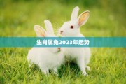 生肖兔20号运势解析，机遇与同在