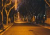 晚上梦见摸狗，解读周公解梦的深层含义