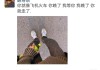 庵求签文案，传统与现代的结合