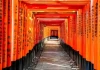 伏见稻荷大社求签在哪？历史与文化背后的神秘力量