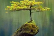 泪流满面，十二星座的眼泪值解析