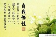 佛法不让人算命，但佛法让人真正理解人生