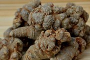 三七名字吉凶查询官网，解析与选择指南