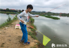 梦见钓龙虾，预示与解梦解析