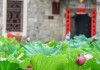 吉首寺庙求签，探访传统求签文化的秘境