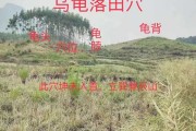 甘肃布局,自然与人文的融合 甘肃布局,自然与人文的融合