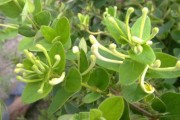 6月生肖蛇婚姻运势分析