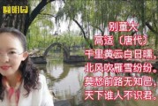 解读经典老歌，吉时未到 王大毛歌词的深层含义