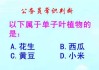 门前三甲，选择一个合适的植物，开启你的之门