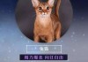 十二星座，配什么猫？