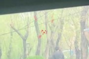 街头巷尾的算命先生，放炮的神秘身份