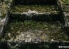 十二星座的专属枪，解读星座的象征