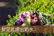 :奶水的隐喻意义