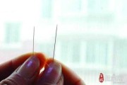 吞针，一场关于自我与真相的隐喻之旅