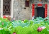 吉首寺庙求签，探访传统求签文化的秘境