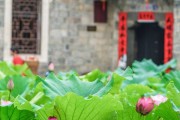 吉首寺庙求签，探访传统求签文化的秘境