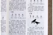 拆字，解读汉字中的吉凶密码