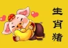 95年生肖猪本命年运势揭秘，连连，福星高照