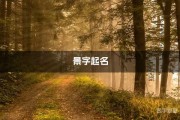 宝宝取名叫夏景，寓意与选择