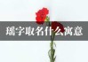 恩瑶女宝宝名字怎么取名