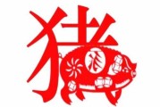 2023年1月11日生肖猪运势，事业与健康的关键时刻