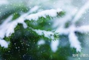 立冬后虎宝宝取名，传统与现代的结合