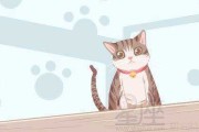 揭秘下午梦到猫的预兆，周公解梦带你解读神秘梦境