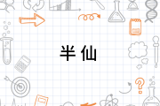 为什么算命都叫什么半仙？