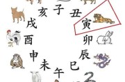 寅时生肖马运势解析，事业与健康的关键时刻
