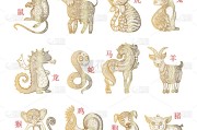 会算命的猴子是什么猴？解读神秘的猴子算命术