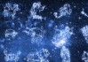 星辰传说与十二星座，解读天上的故事