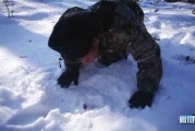 下山遇到野豹，预兆与解梦解析