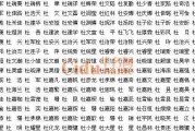 杜姓名字的吉凶解析，名字背后的深意与选择之道