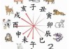 属相鼠运势，女性的神秘力量与幸福之源