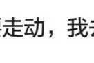 你学的吧？这些梗的！