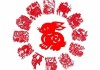 16日兔年运势解析，兔年16日的运势如何？