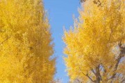 九月初十，一个蕴含美好寓意的时刻