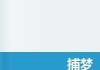 梦见捕杀蜂子，预兆与解梦的深层解析