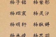姓杨男宝宝怎么取名好