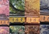寺庙算命，与智慧的交汇处