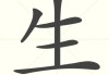 生儿子秘诀，助宝宝健康成长的神秘力量
