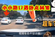 路口遇白猫,预兆与解梦的深层解析 路口遇白猫,预兆与解梦的深层解析