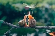 取名，让生命更有意义的开始