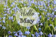 May 9th:A Day of Prosperity and Joy in Business