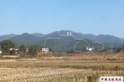 最旺墓地土植什么树